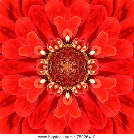 Red Mandala Concentric Flower Center Kaleidoscope