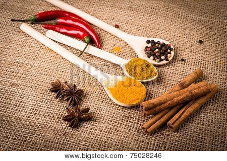 Fresh and dried hot chili peppers witn herbs, spices