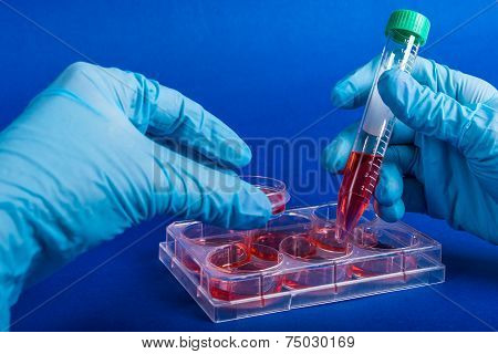 Ecology and farmacology laboratory