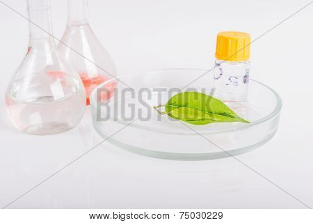 Labware dishes for biochemical experiment
