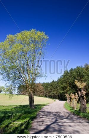 Paesaggio househols