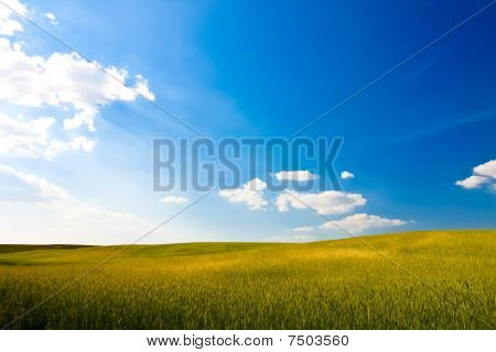 Paesaggio rurale
