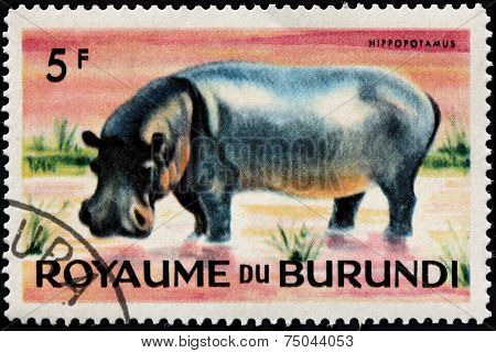 Hippo Stamp