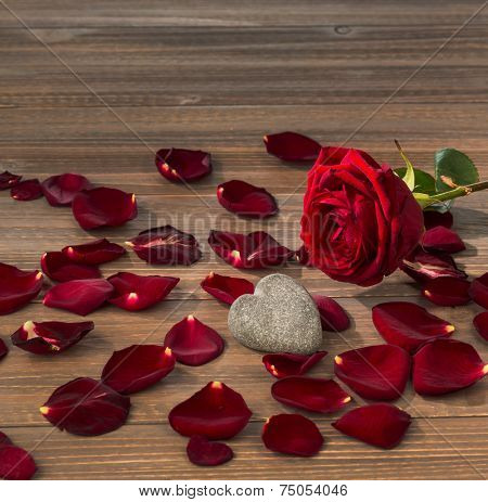 roses as a gift and surprise to a feast. symbol photo for birthday, mother's day, love, valentine's day