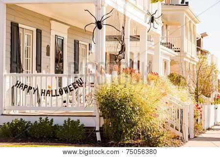 Halloween Decor