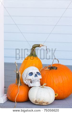 Halloween Decor