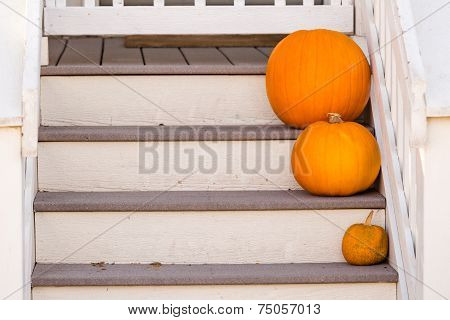 Halloween Decor