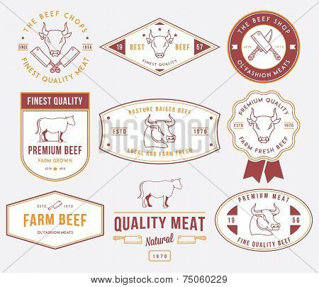 Quality Beef Meat 2 Colored