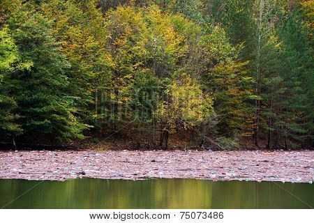Mountain lake pollution