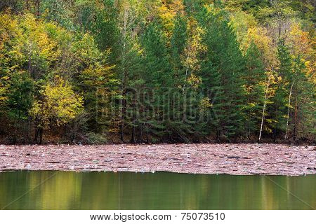 Mountain lake pollution