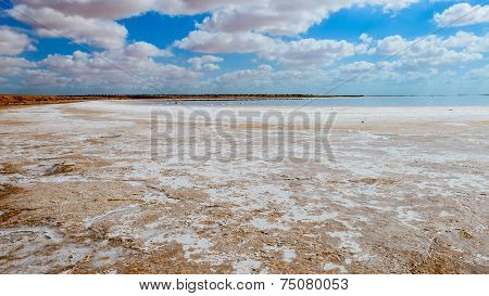 Salt Desert
