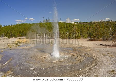 Small Geyser Erupting