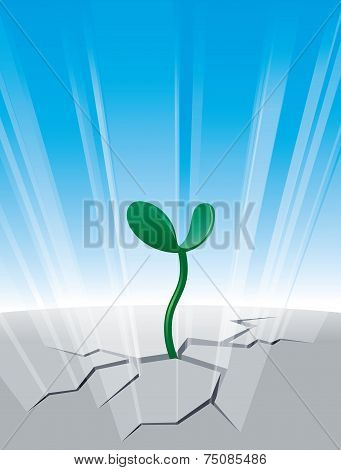 Sprout
