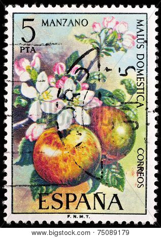 Stamp