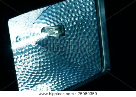 Tungten Bulb