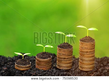 business with csr