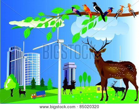 Urban and village landscape. Ecology, environmental protection wild animals