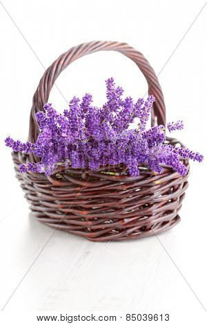 basket full of lavende - flowers and plants