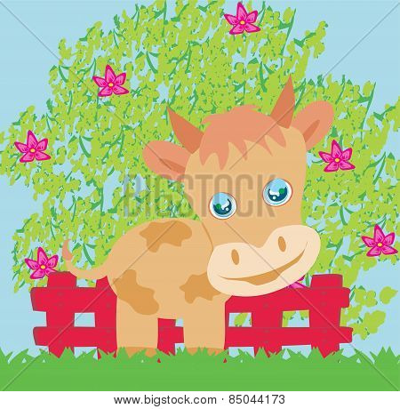 Funny Cow