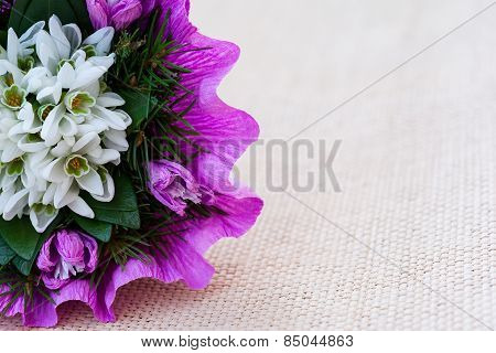 Snowdrop flowers bouquet with fir twigs