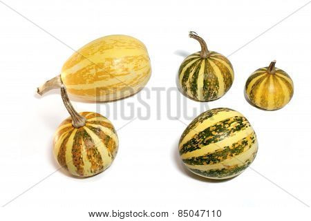 Pumpkins  On A White Background