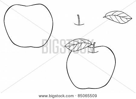 Delightful Garden - Bold Apple With One Leaf