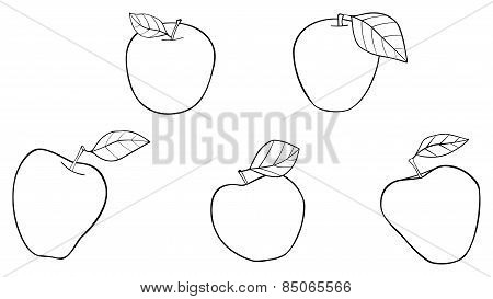 Delightful Garden - Five Best Apples With Leaves