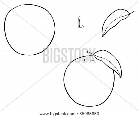 Delightful Garden - Nice Round Apple With One Leaf