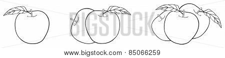 Delightful Garden - One, Two, And Three Apples With Leaves