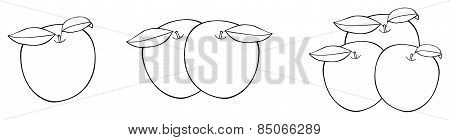 Delightful Garden - One, Two, And Three Nice Apples With Leaves