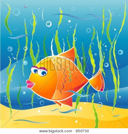 little fish