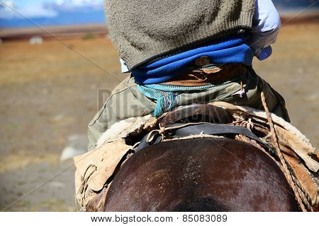 Back view of gaucho riding horse