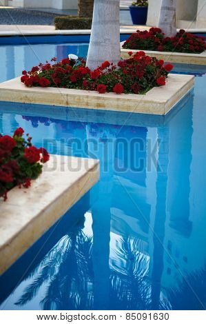 Decorative  Pool