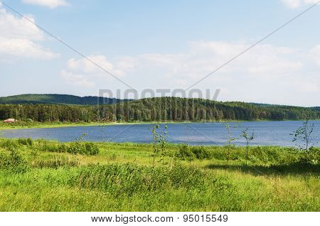 Summer Landscape