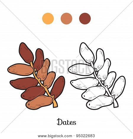 Coloring Book: Fruits And Vegetables (dates)