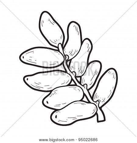 Coloring Book: Fruits And Vegetables (dates)