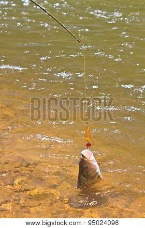 Hampala barb hook Metallic Fishing Lure