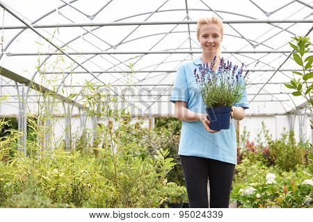 Portrait Of Female Employee At Garden Center Holding Plant