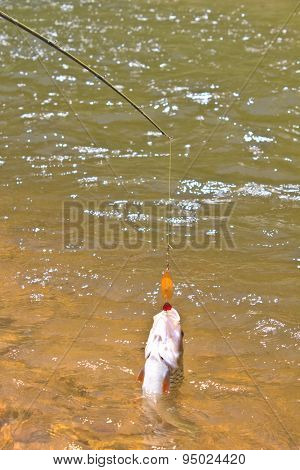 Hampala barb hook Metallic Fishing Lure