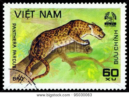 Vintage  Postage Stamp.   Leopard.