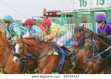 One Moment After The Start In The Horse Race