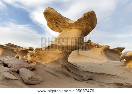 sand stone in the desert with shallow depth of field