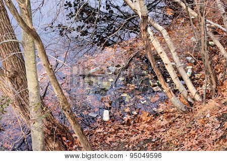 Pond Pollution