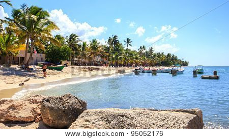 Caribbean Beach In Dominican Republic