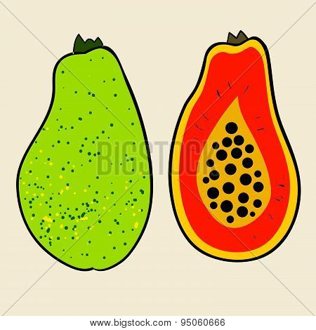 Papaya vector Illustration.