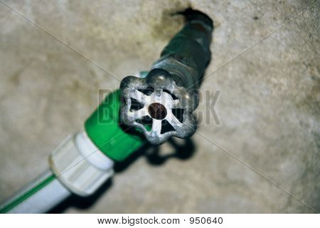 Garden Hose