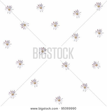 Seamless Pattern With Daisies