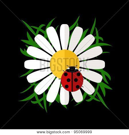 Camomile And Lady Bird
