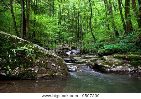 Appalachian Stream