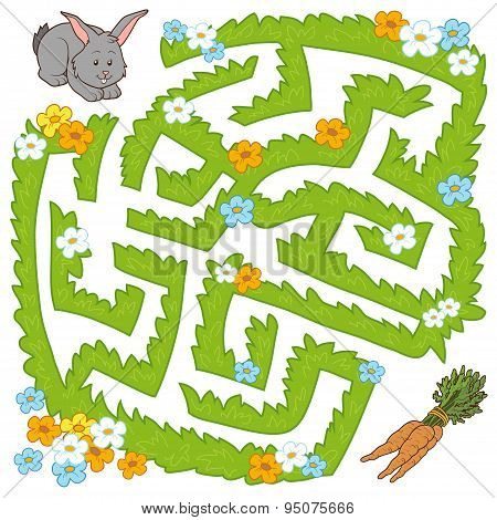 Maze Game: Help Bunny Get To The Carrot